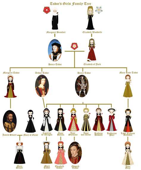 mary tudor sister of henry viii|mary queen of scots family tree.